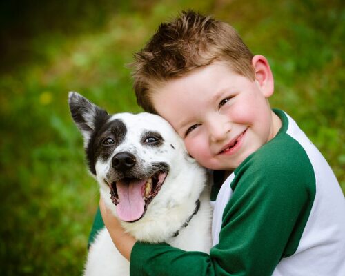 Bir Köpek Sahiplenmeden Önce Bilinmesi Gerekenler