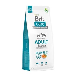 Brit Care - Brit Care Skin&Coat Somonlu Patatesli Tahılsız Küçük ve Orta Irk Yetişkin Köpek Maması 12 kg