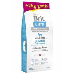 Brit Care - Brit Care Skin&Coat Somonlu Tahılsız Büyük Irk Yavru Köpek Maması 12+2 kg