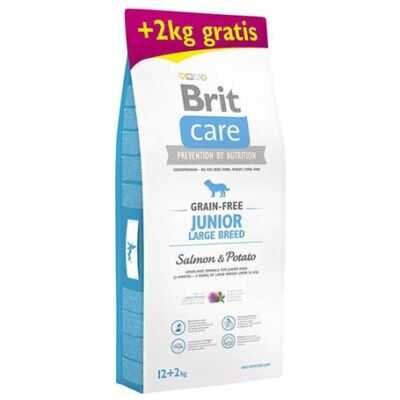 Brit Care Skin&Coat Somonlu Tahılsız Büyük Irk Yavru Köpek Maması 12+2 kg