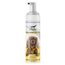 Catidea - Catidea Karanfil ve Çam Kokulu Köpük Köpek Şampuanı 150 Ml