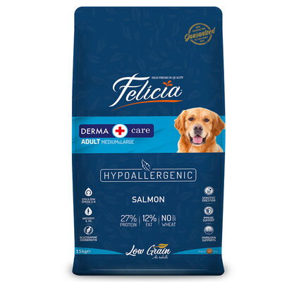 Felicia Hypoallergenic Düşük Tahıllı Somonlu Yetişkin Köpek Maması 15 kg