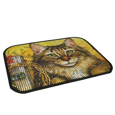 Flip Resimli Kedi Kumu Toplama Paspası 60 x 45 cm