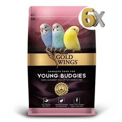 Gold Wings Premium - Gold Wings Premium Yavru Muhabbet Kuşu Yemi 6x1 kg