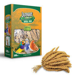 Jungle - Jungle Doğal Dal Darı 500 gr