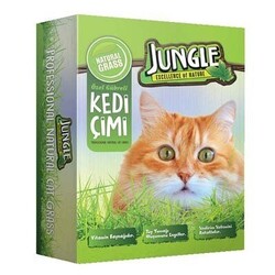 Jungle - Jungle Fileli Kedi Çimi