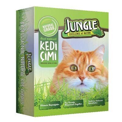Jungle Fileli Kedi Çimi