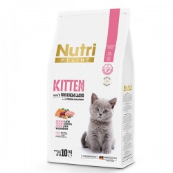 Nutri Feline - Nutri Feline Kitten Tavuklu Yavru Kedi Maması 10 Kg