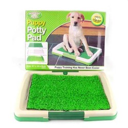 Petpretty - Petpretty Yavru Köpek İçin Çimli Tuvalet Eğitim Pedi