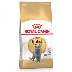 Royal Canin - Royal Canin British Shorthair Adult Yetişkin Kedi Maması 10 Kg