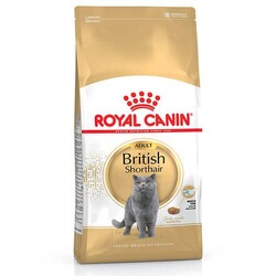 Royal Canin - Royal Canin British Shorthair Adult Yetişkin Kedi Maması 2 kg