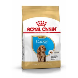 Royal Canin - Royal Canin Cocker Junior Yavru Köpek Maması 3 Kg
