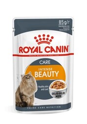 Royal Canin - Royal Canin İntense Beauty Jelly Pouch Yetişkin Kedi Konservesi 85 gr