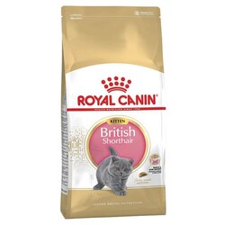 Royal Canin - Royal Canin British Shorthair Kitten Yavru Kedi Maması 2kg
