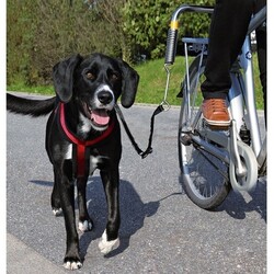 Trixie - Trixie Bisiklet İçin Köpek Yürütme Aparatı