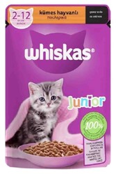 Whiskas - Whiskas Junior Kümes Hayvanlı Yavru Kedi Konserve Maması 85 gr